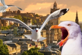 site foto ölcusu - 2024-09-15T153207.223