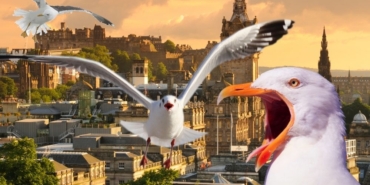 site foto ölcusu - 2024-09-15T153207.223