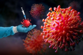 site foto ölcusu - 2024-09-16T155637.935