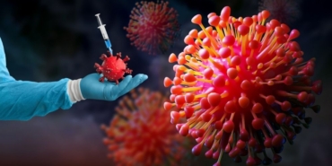 site foto ölcusu - 2024-09-16T155637.935