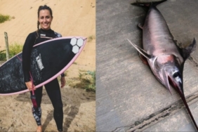 site foto ölcusu - 2024-10-21T162606.397