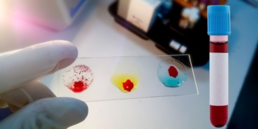 site foto ölcusu - 2024-11-13T131755.778