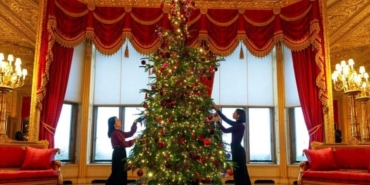 site foto ölcusu - 2024-11-26T132551.479