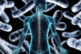 site foto ölcusu - 2024-12-24T001641.401