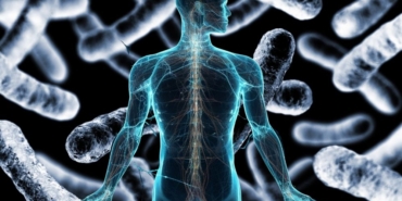 site foto ölcusu - 2024-12-24T001641.401