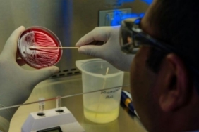 site foto ölcusu (61)