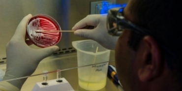 site foto ölcusu (61)