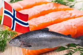 site foto ölcusu (86)