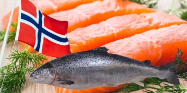 site foto ölcusu (86)