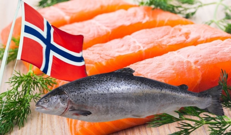 Dünyada büyük ‘balık’ krizi: Norveç Somaon balığında bit!