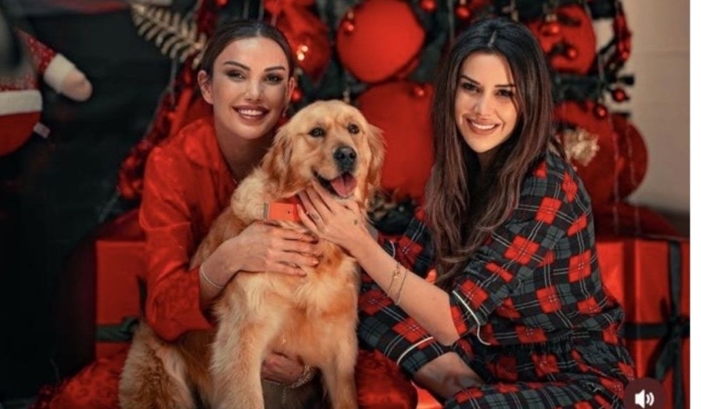 Sahiplendiği köpeği elinden alınan Dilan Polat yıkıldı!