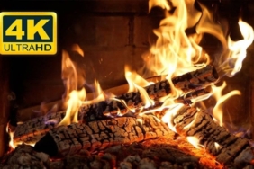 site foto ölcusu - 2025-01-11T235818.280