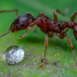 site foto ölcusu - 2025-01-24T000617.850