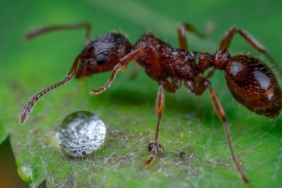 site foto ölcusu - 2025-01-24T000617.850