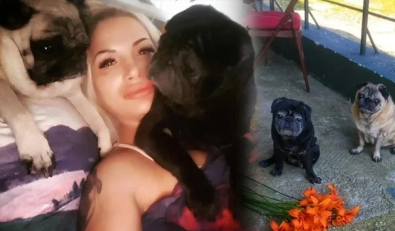 Aç kalan köpekler, sahiplerini yedi