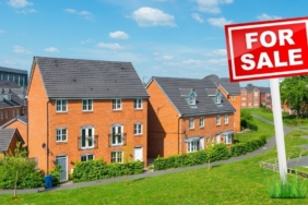 site foto ölcusu (48)