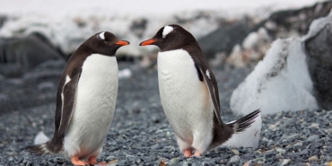 site foto ölcusu (89)