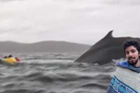 site foto ölcusu - 2025-02-14T142211.611