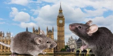 site foto ölcusu - 2025-02-16T134913.737