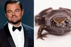 site foto ölcusu - 2025-02-17T135031.155