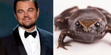 site foto ölcusu - 2025-02-17T135031.155