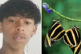 site foto ölcusu - 2025-02-21T114548.618