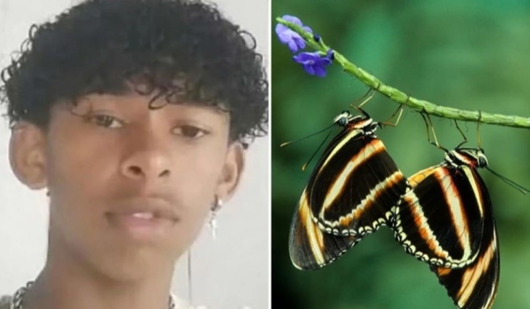 Ölümcül deneyin kurbanı oldu: Brezilyalı genç, kelebek zehriyle can verdi