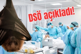 site foto ölcusu - 2025-02-25T094435.096