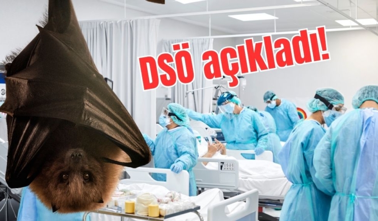 Saatler içinde 50’den fazla insan öldü: Yeni virüsün kaynağı yine yarasa