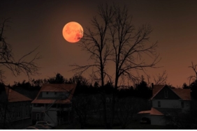 site foto ölcusu - 2025-03-13T155502.109