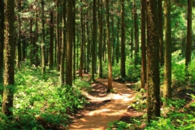 site foto ölcusu - 2025-03-23T183140.369