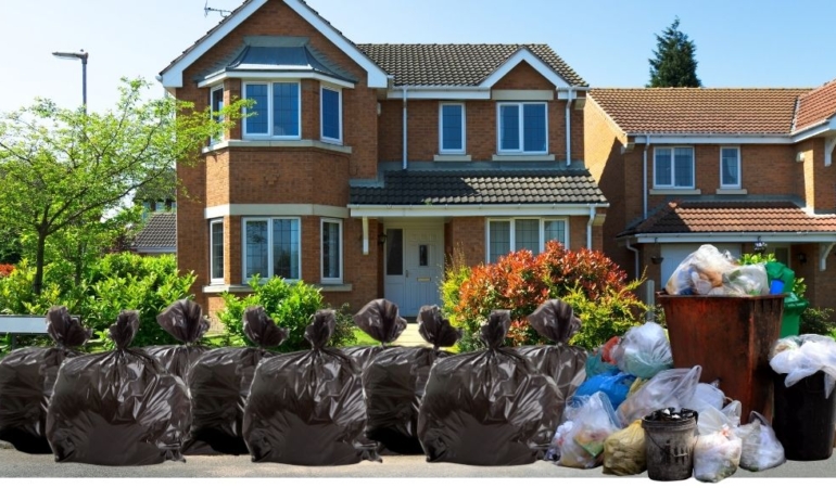 Sokaklarını sıçanlar bastı: “Kedilerden daha büyükler”