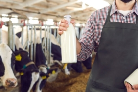 site foto ölcusu - 2025-04-27T181351.955