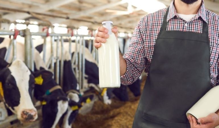 Avrupalı yolcuların İngiltere’ye et ve süt ürünleri getirmesi yasaklandı