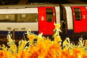 site foto ölcusu (10)