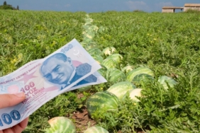 site foto ölcusu (11)