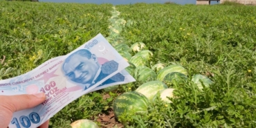 site foto ölcusu (11)