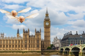 site foto ölcusu (16)