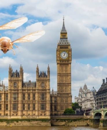 site foto ölcusu (16)