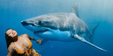 site foto ölcusu (18)