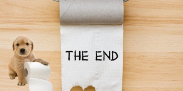 site foto ölcusu (2)