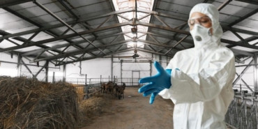 site foto ölcusu (3)