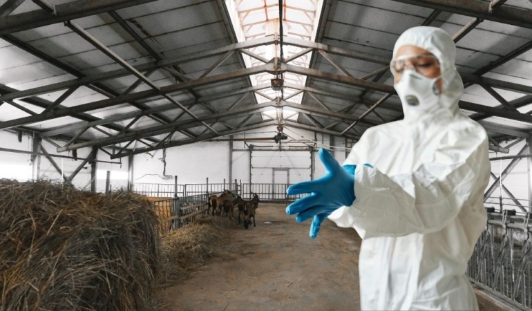 Türkiye alarmda: Yeni salgın durdurulamıyor