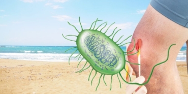 site foto ölcusu (6)