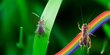 site foto ölcusu (7)