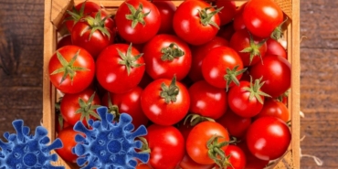 site foto ölcusu (9)