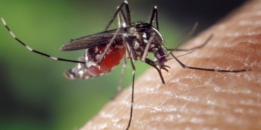 site foto ölcusu (7)