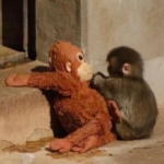 site foto ölcusu (11)