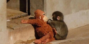 site foto ölcusu (11)